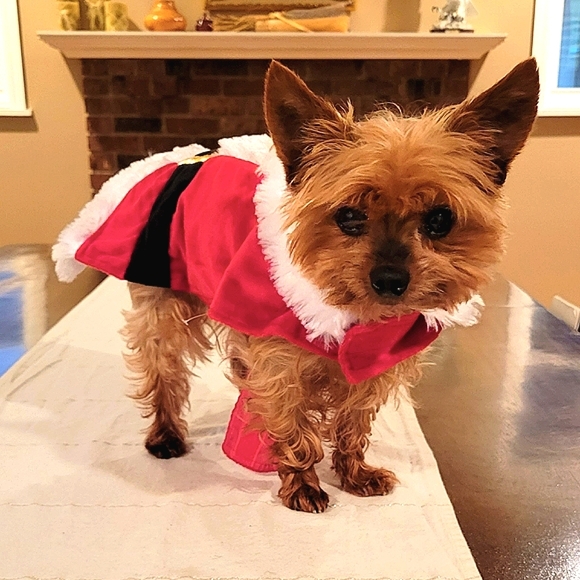 ❤️🎄Host Pick!🎄❤️ Doggo Santa Outfit S - Picture 16 of 16